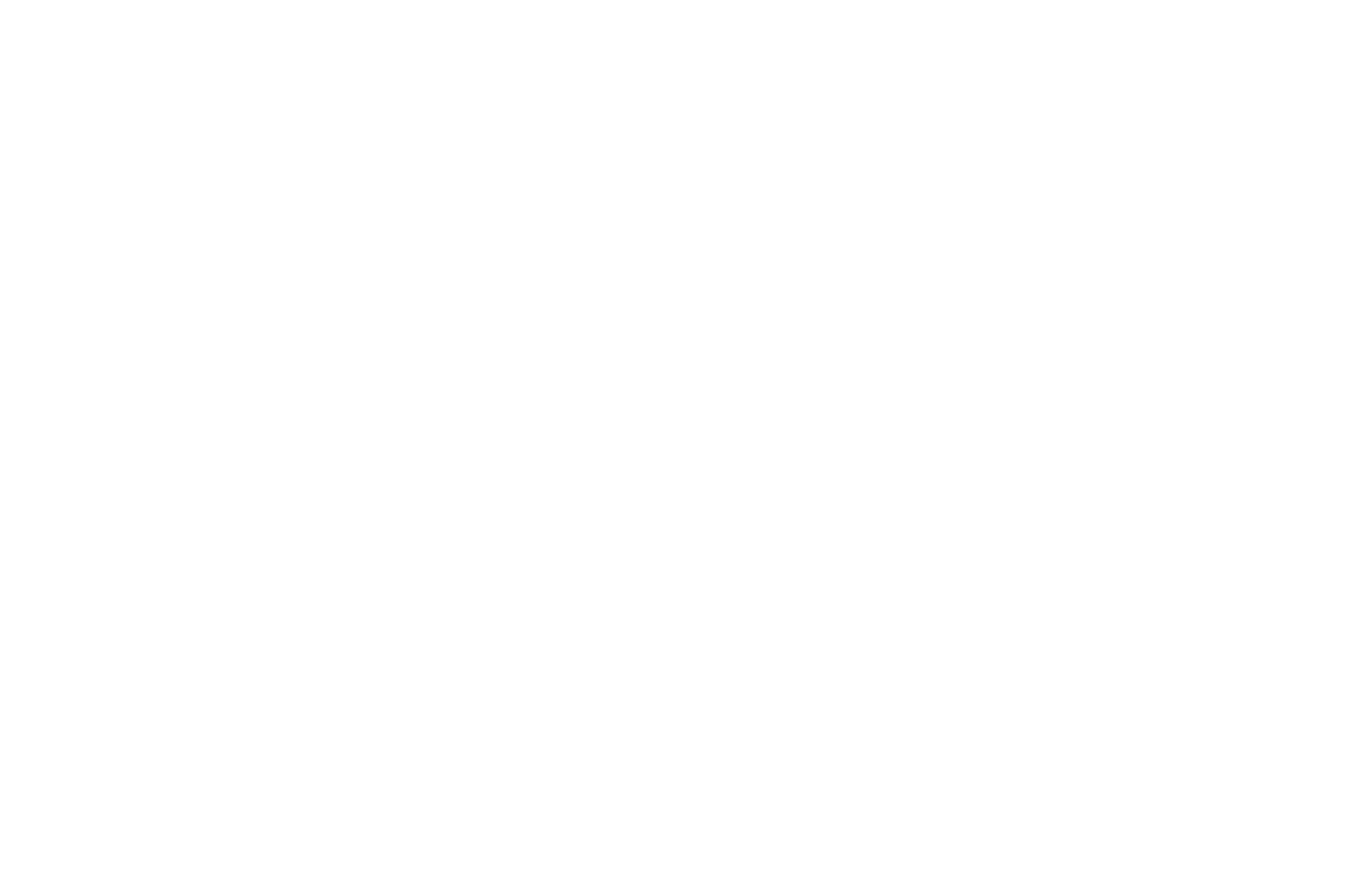 rayy logo